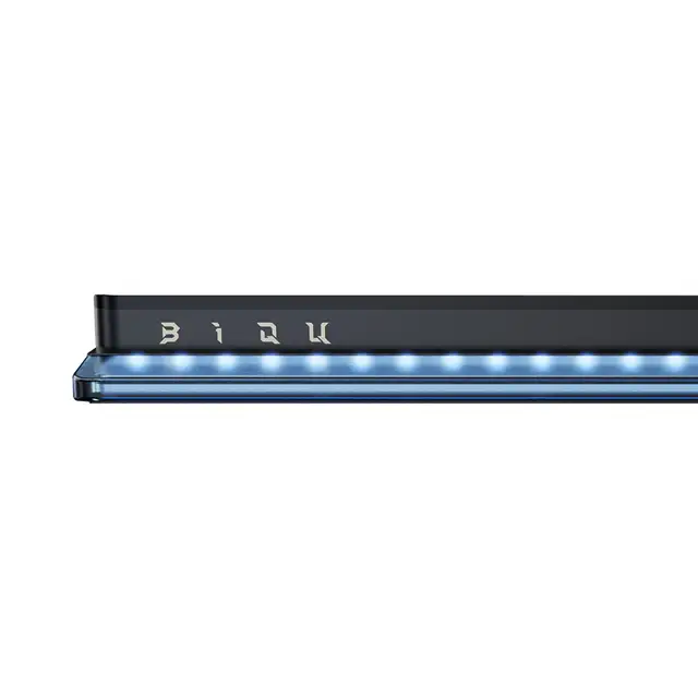 Biqu Panda Status for P2 