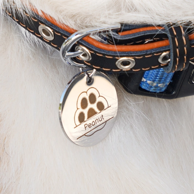 Bambu Lab Round Stainless Steel Tag Small (20mm), 5pcs 